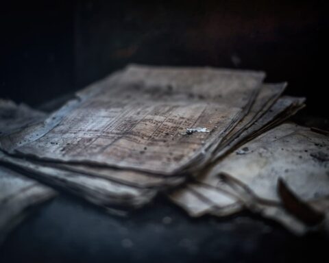 वे तुम्हें मज़बूर करेंगे | आर. चेतनक्रांति