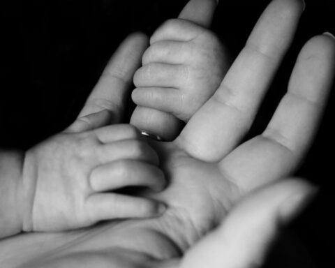 कविता कोश