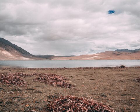 साधो ये मुरदों का गाँव