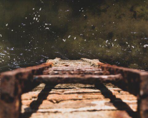 वसंतसेना -by-srikant-verma