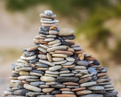 ग़ज़ल : मेरे ही लहू पर गुज़र-औक़ात करो हो