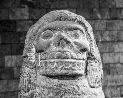 कविता : अंतिम ऊँचाई