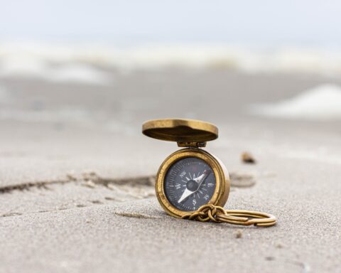 कविताएँ : रोहित ठाकुर