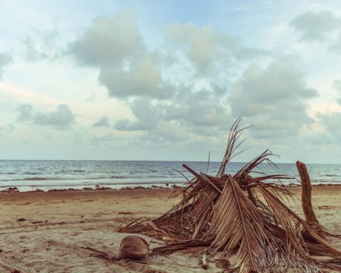 कविता : मैं उनका ही होता मुक्तिबोध