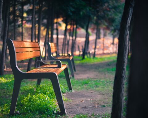 कविता : परिणति