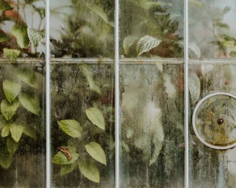 ग़ज़ल : तुझसे तो कोई गिला नहीं है