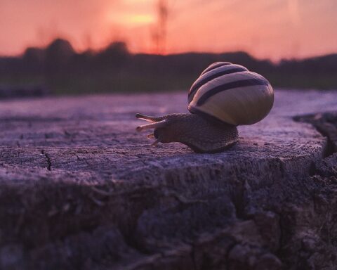 कविता : धीरे धीरे