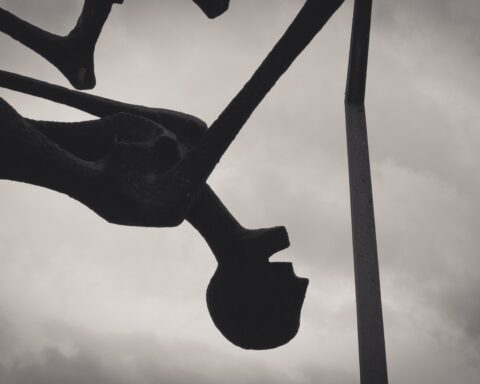 कविता : इह मेरा गीत