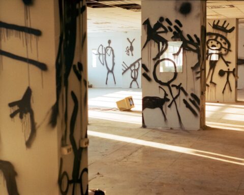 इक पगली लड़की के बिन