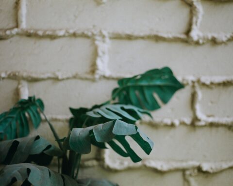 डॉ मालिनी गौतम