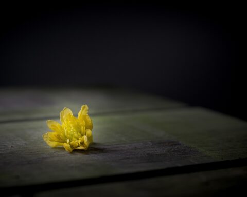 भरोसा देवेंद्र अहिरवार