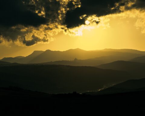 मंजुला बिष्ट