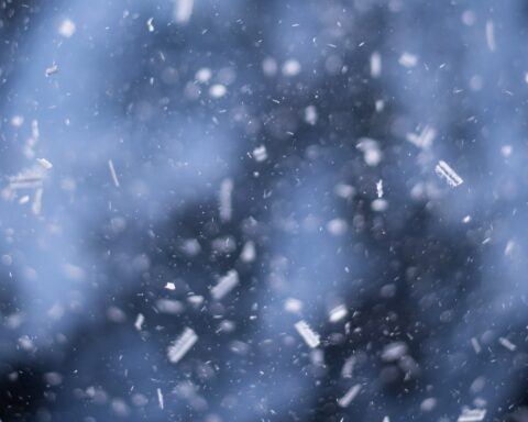 सुदर्शन शर्मा