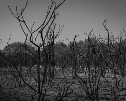 अनुराग अनंत