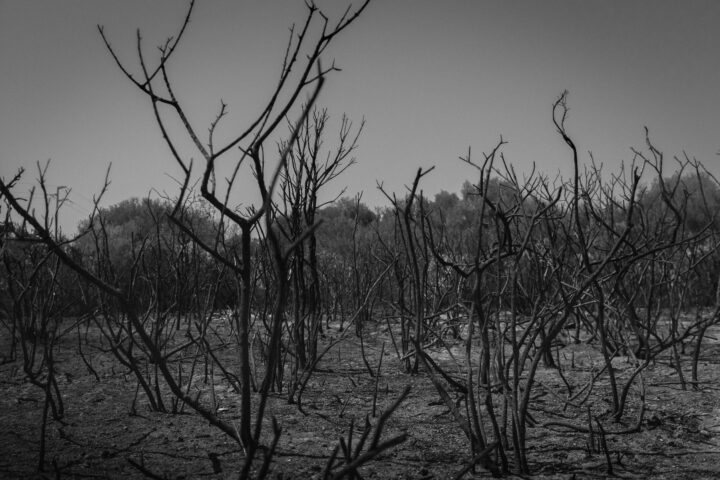 अनुराग अनंत