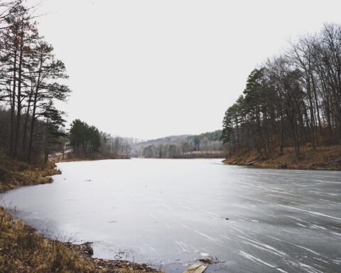 नदी के दोनों पाट भुवनेश्वर