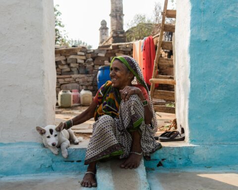 विवेक चतुर्वेदी